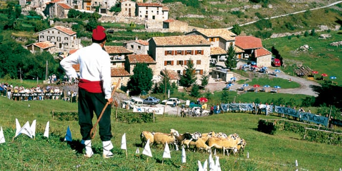 Sheepdog Trials in Castellar de n’Hug